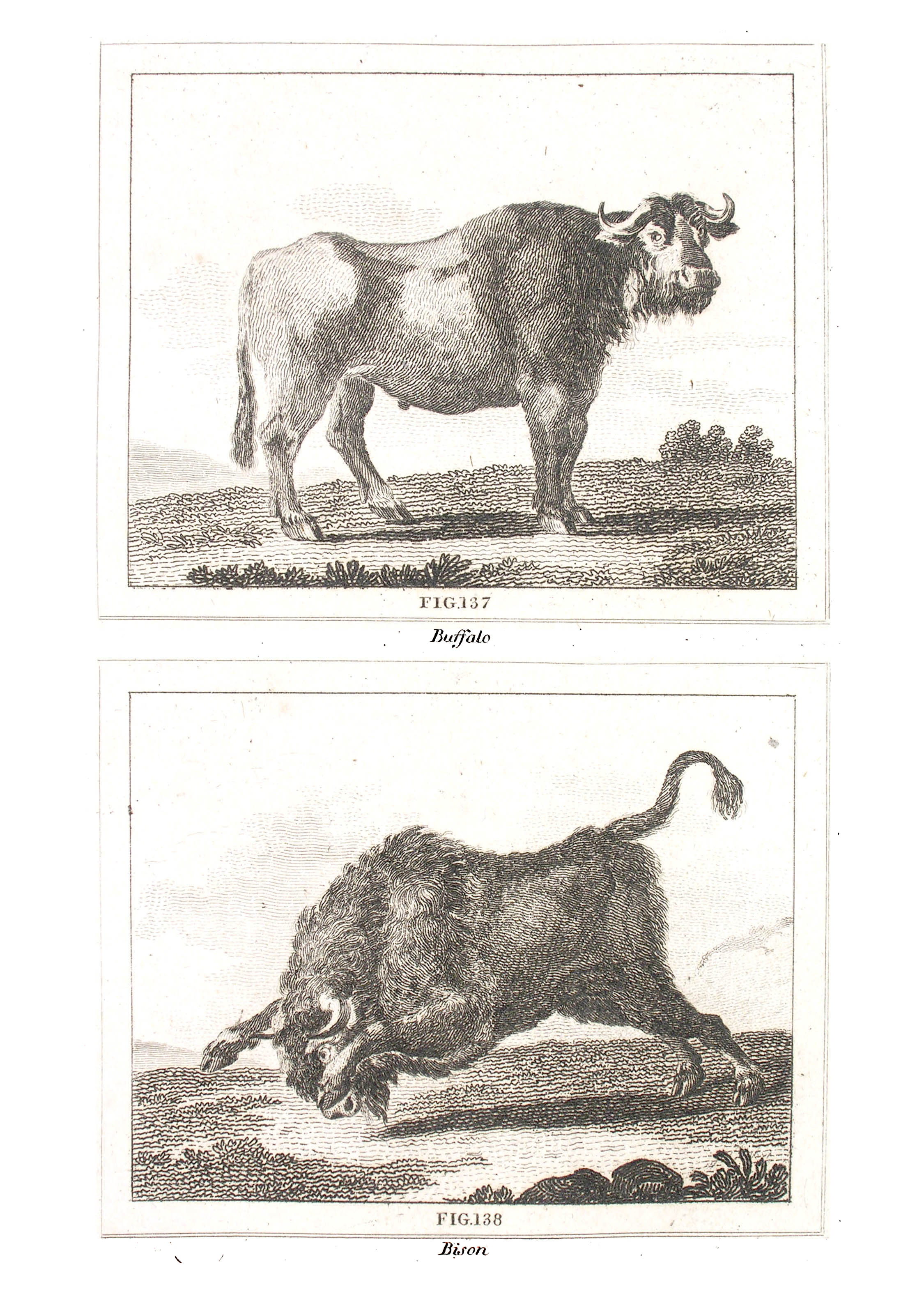../text/022-fig.jpg