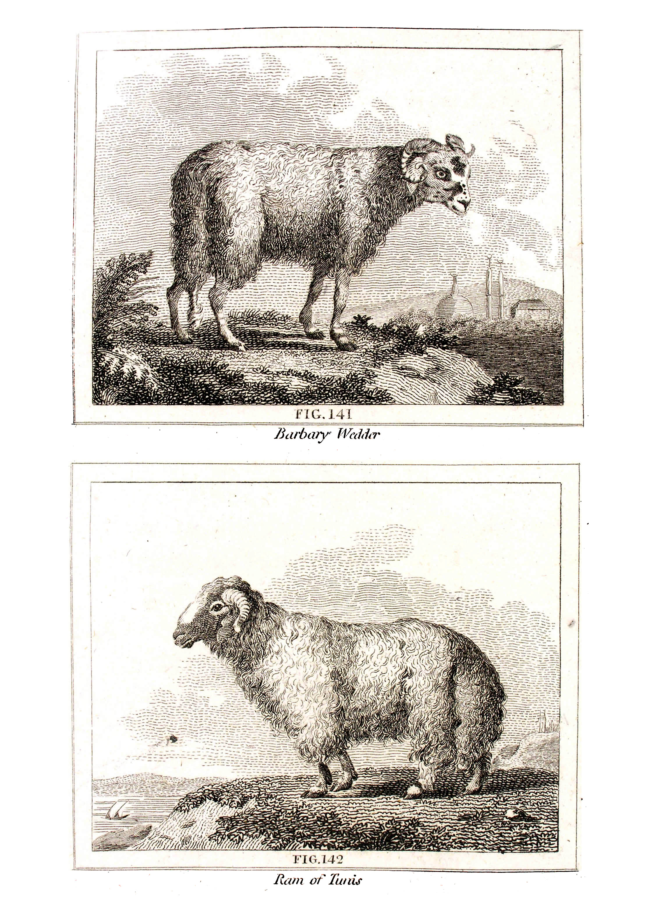../text/072-fig.jpg