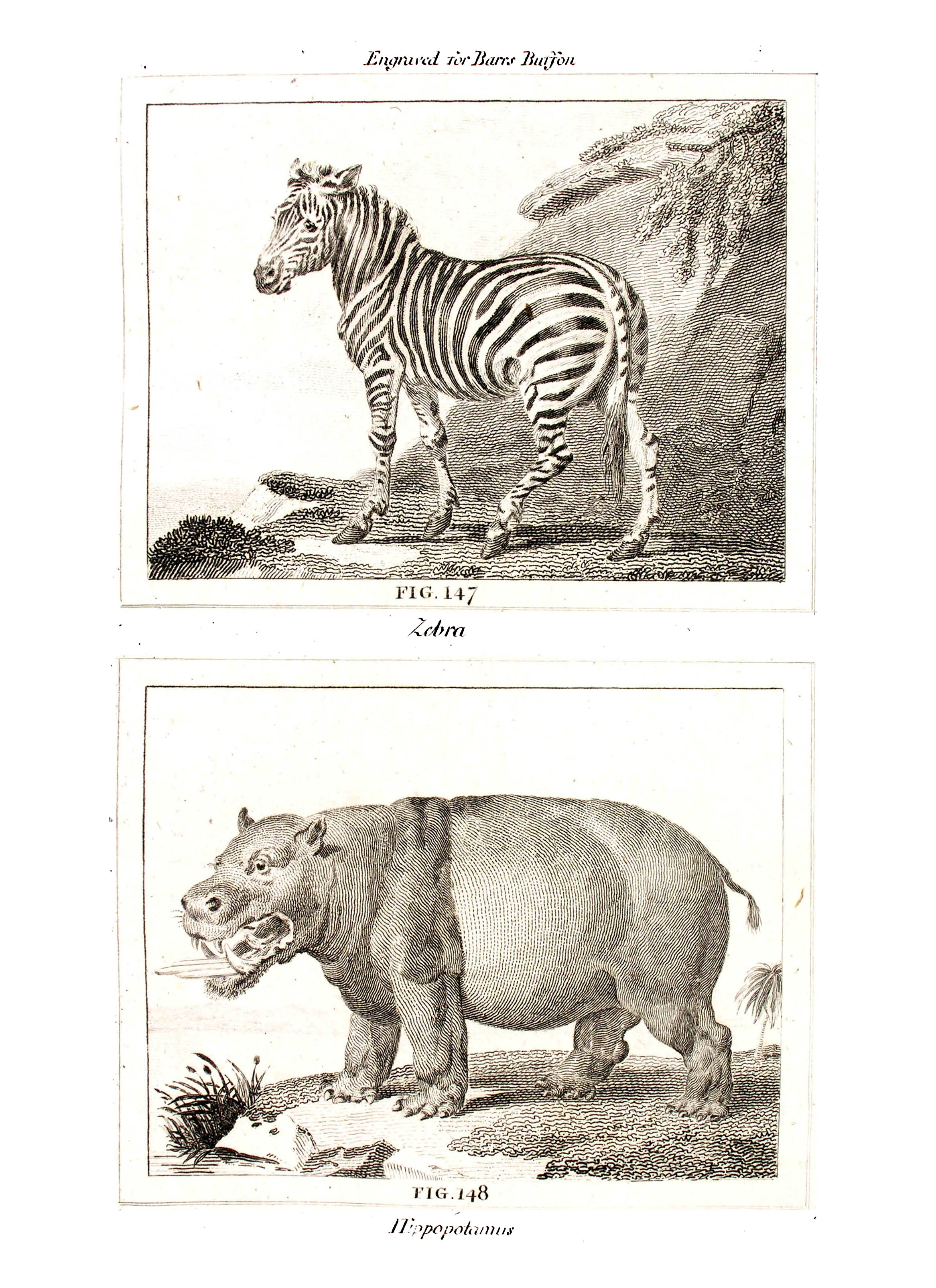 ../text/086-fig.jpg