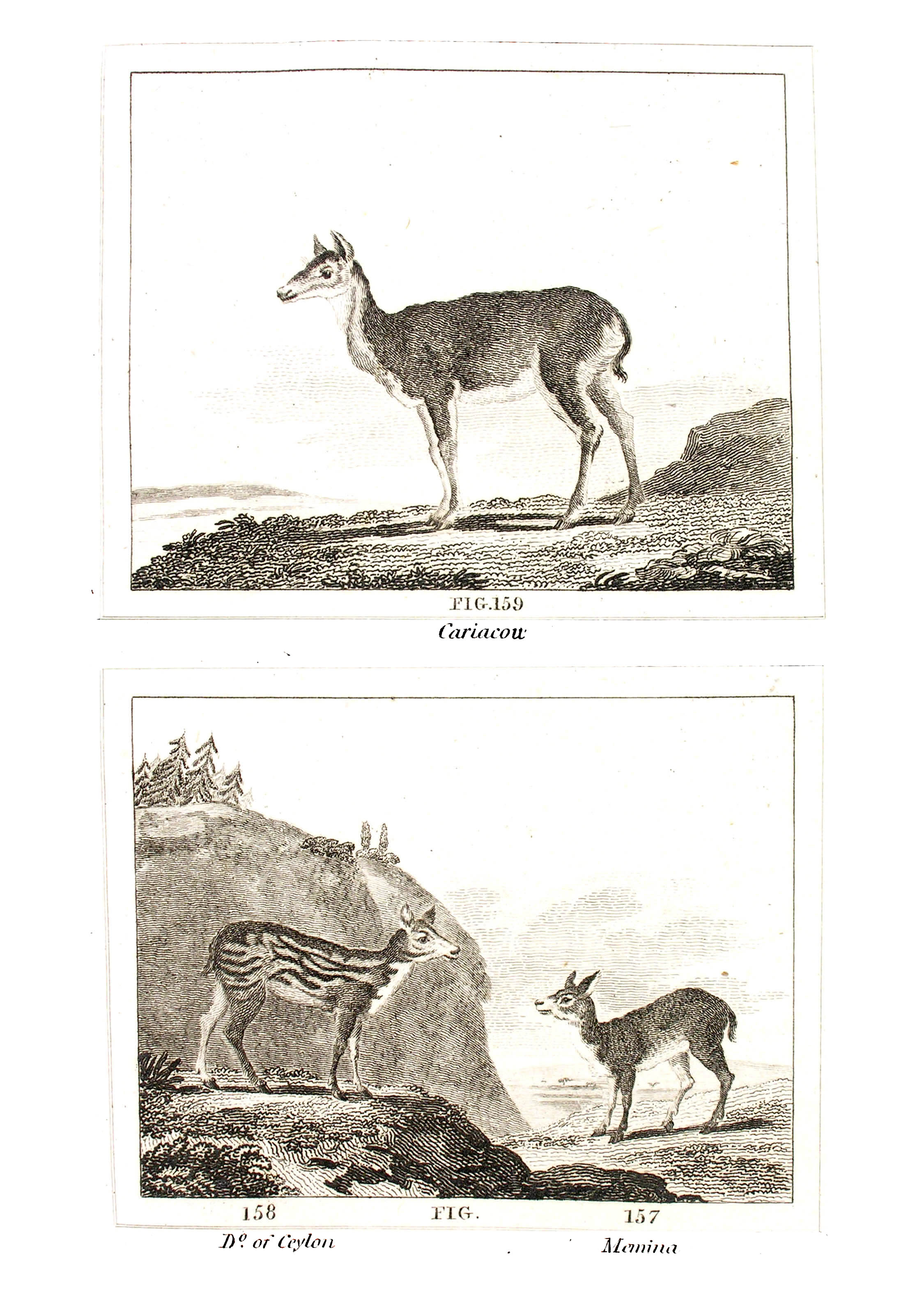 ../text/210-fig.jpg