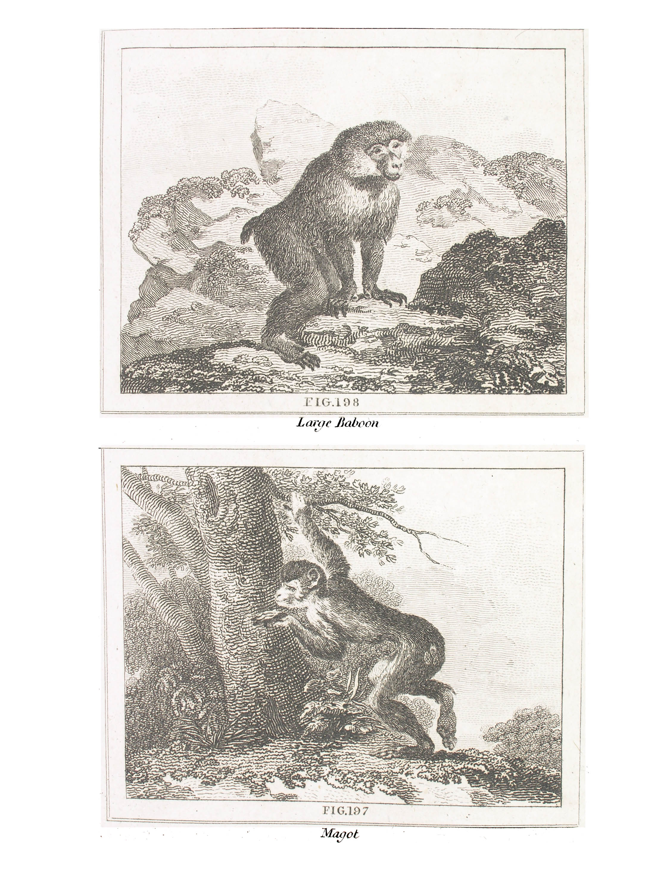 ../text/188-fig.jpg