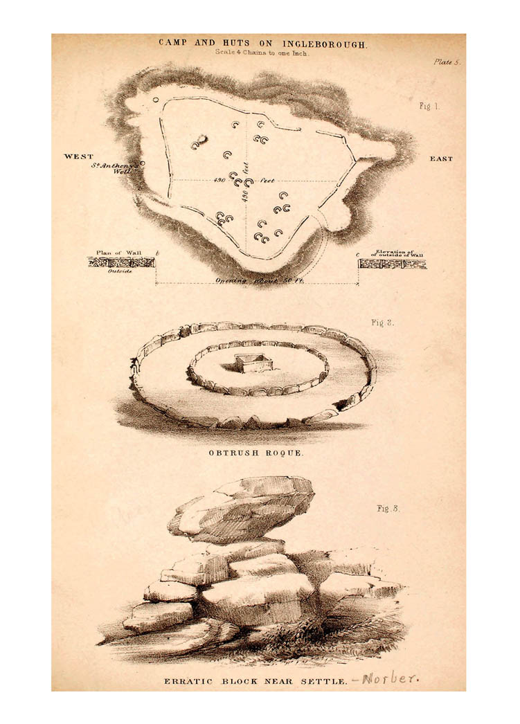 Geological Map Of Yorkshire. Seacoast of Yorkshire by