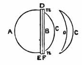 cuttlefish eye diagram