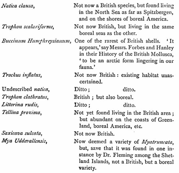 species in stratum