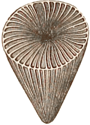 Upper Silurian coral