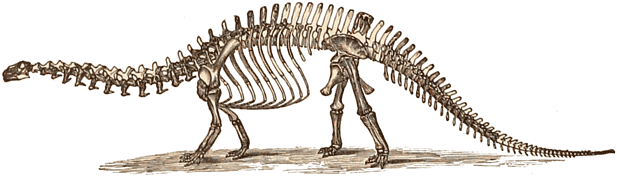 Jurassic Brontosaurus